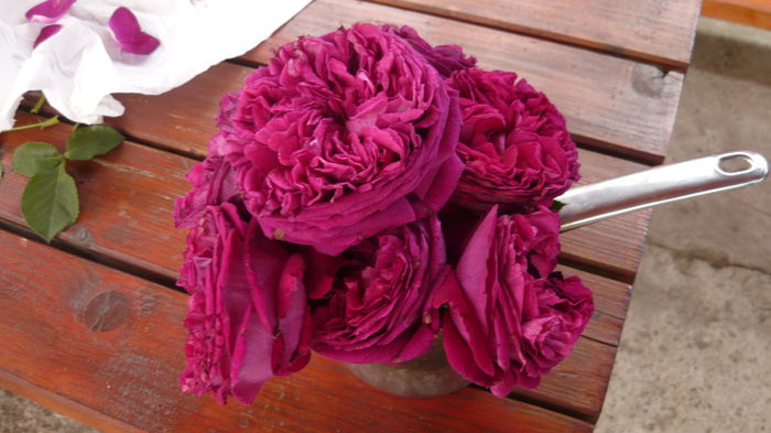 192 - 2014 flori