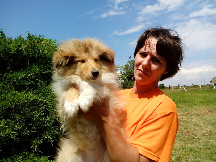 Rough Collie - Collie Rough Joisie Ballo si pui