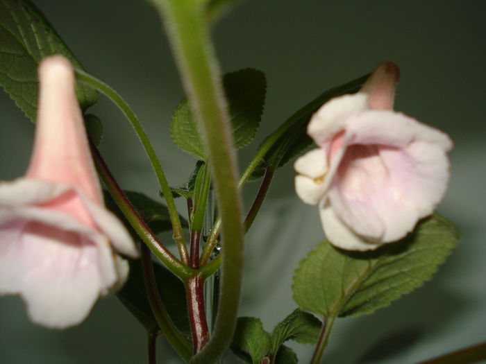 DSC09851