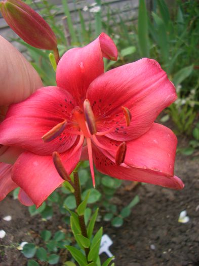 CIMG0091