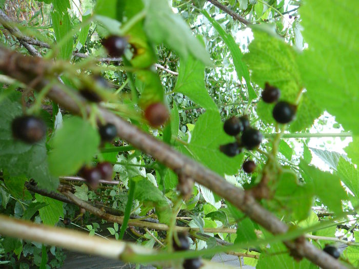 P1230557