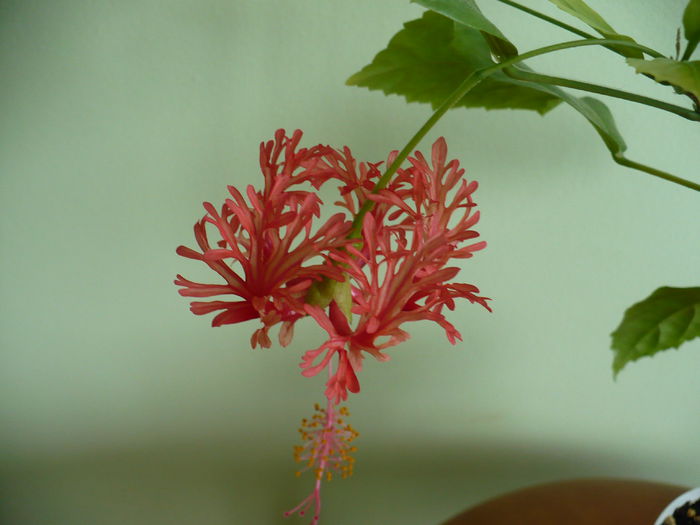 P1500602