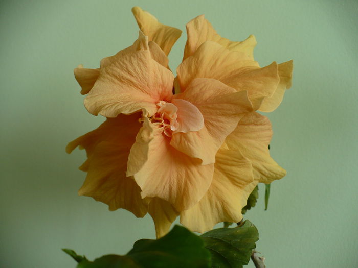 P1500614