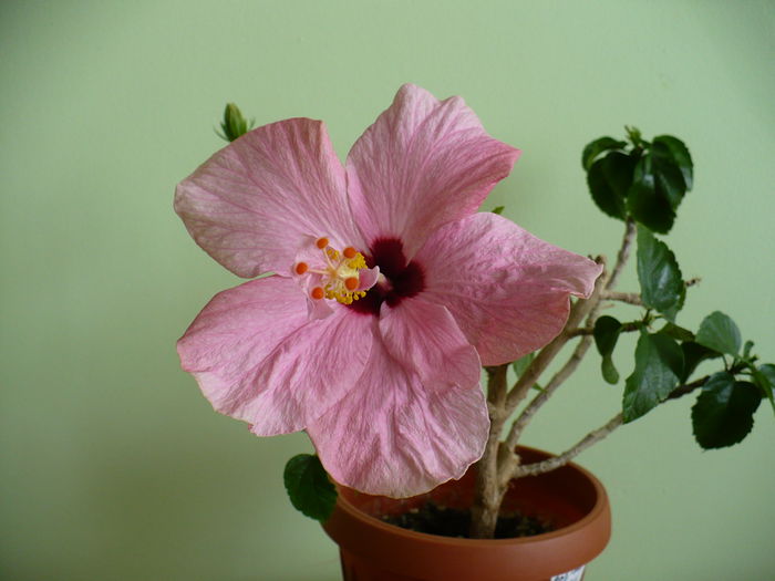 P1500622