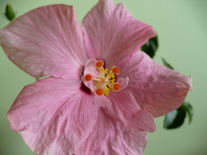 P1500626