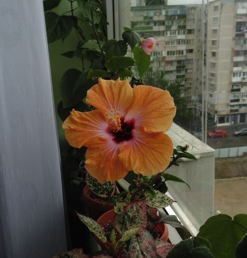 DSC01799