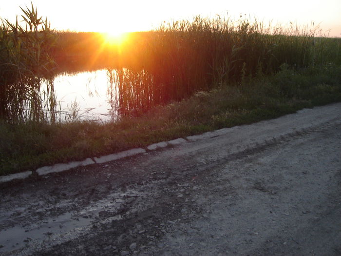 DSC00298