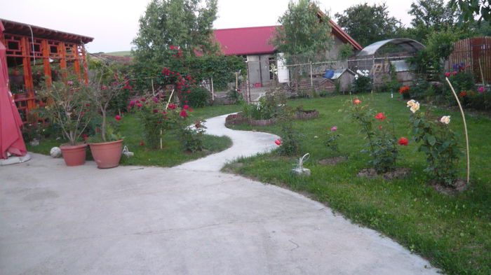 120 - 2014 vara