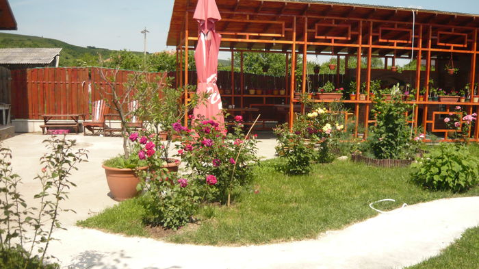 032 - 2014 vara