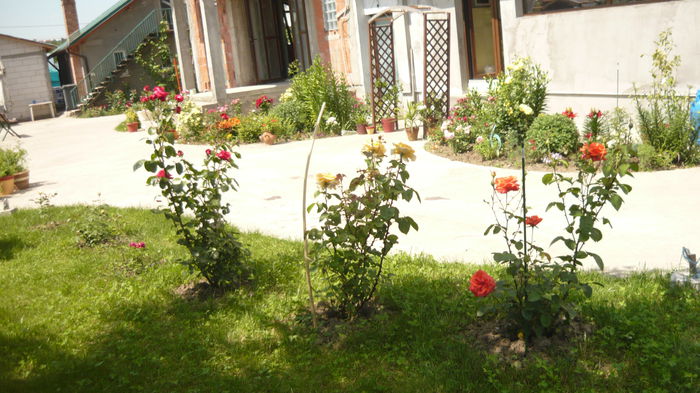 033 - 2014 vara