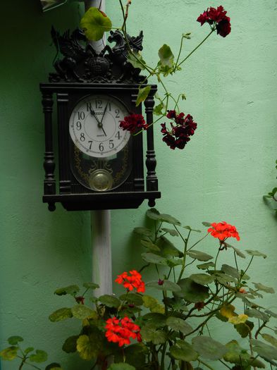 DSCN9028 - IUNIE_2_2014