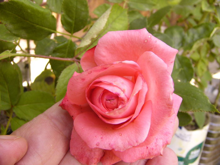 P1220673