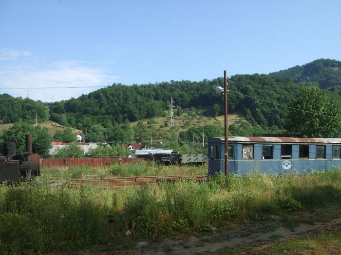 DSCF2851 - Valea Vaserului