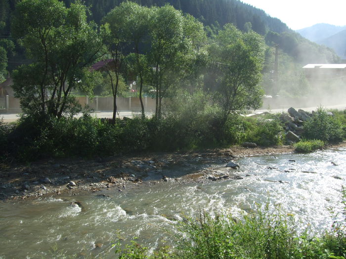 DSCF2857 - Valea Vaserului