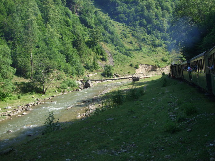 DSCF2882 - Valea Vaserului