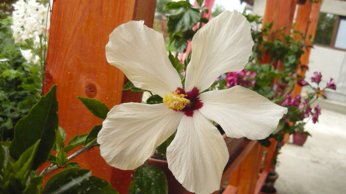 039
