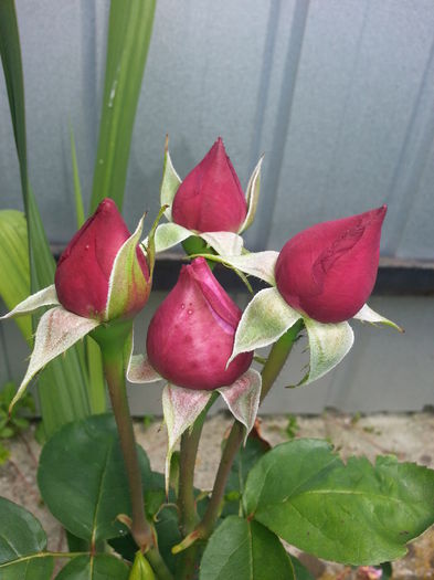 20140628_123846