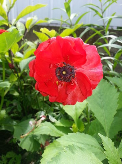 20140628_124016