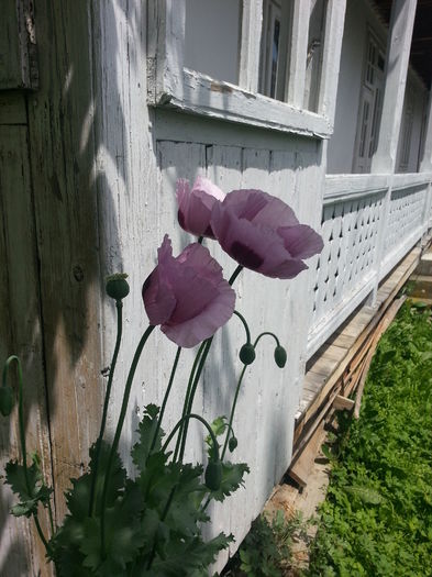 20140628_124157