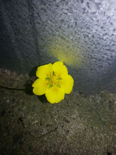 20140628_124313