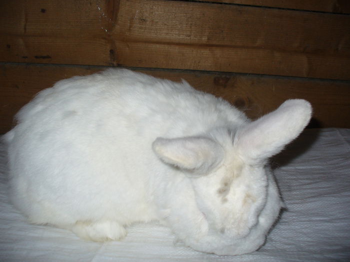 P1110391 - 3 Neo masculul numarul 1