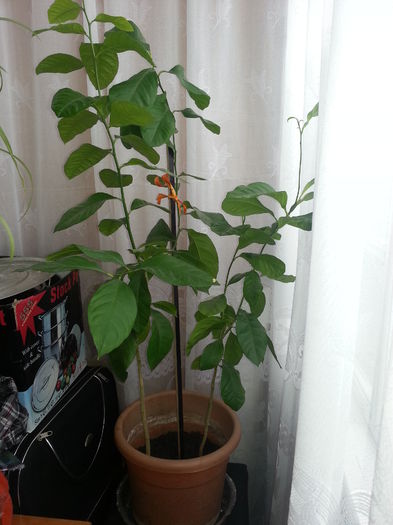 20140628_124557