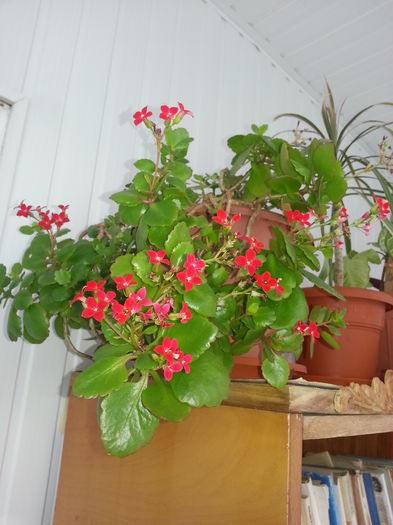 20140628_124624