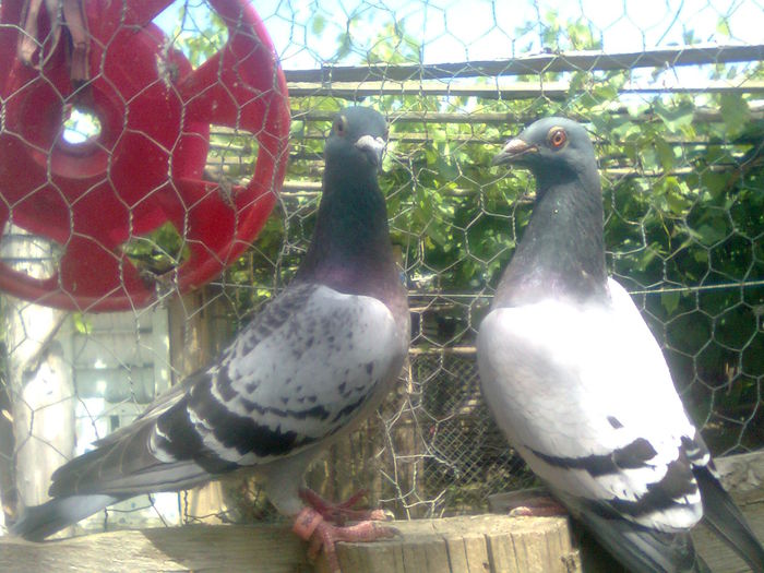Image0209
