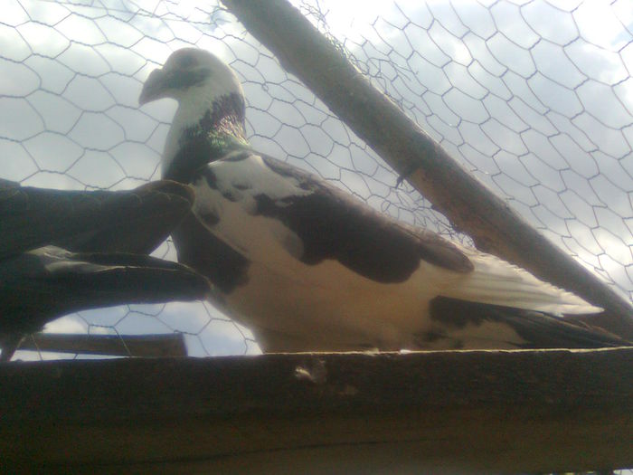 Image0211