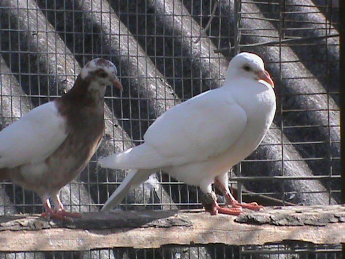 DSC01126
