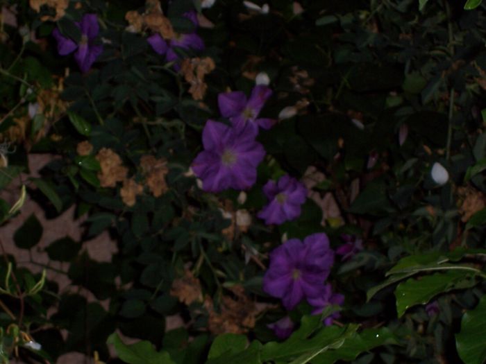 100_7347