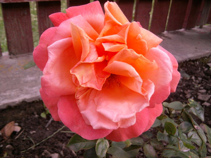 2014-06-26 11.00.37