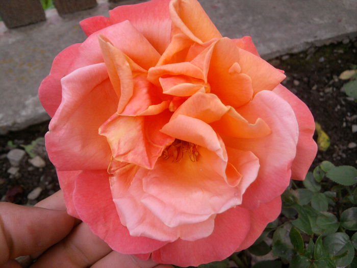 2014-06-26 11.01.11