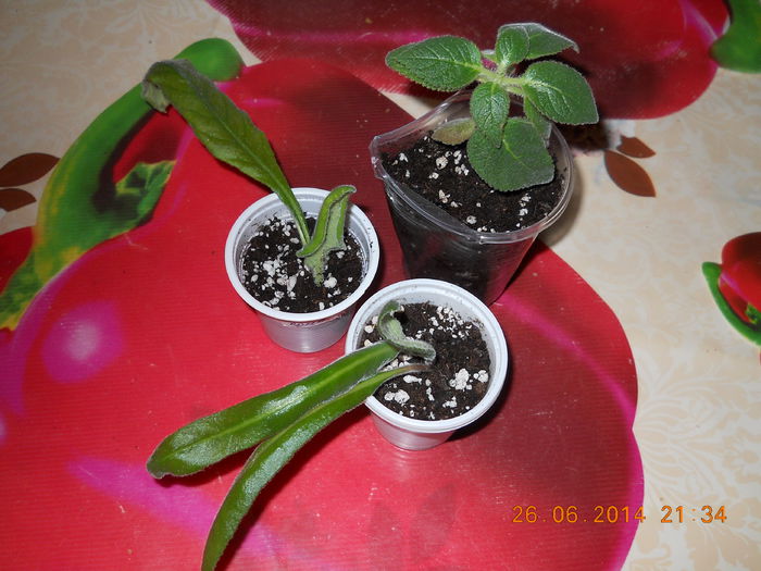 002 - ACHIZITII 2014