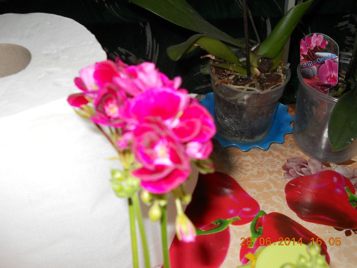 024 - ACHIZITII 2014