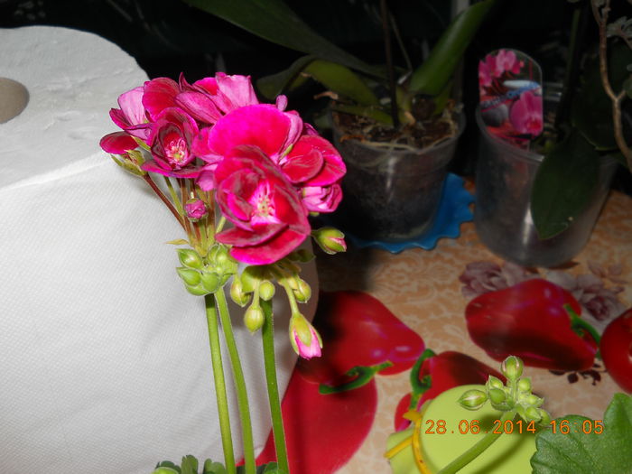 025 - ACHIZITII 2014