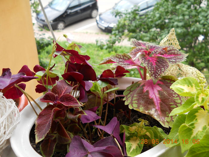 030 - ACHIZITII 2014