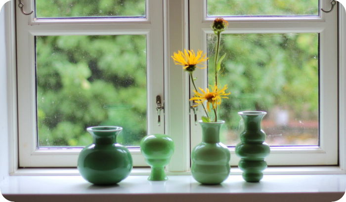 windowsill; foto preluata
