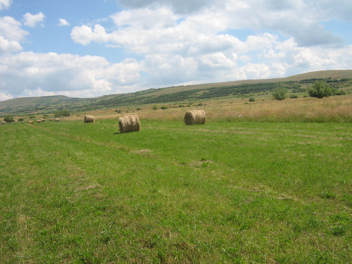 agricultura in Romania 001 - Natura cu frumusetile ei