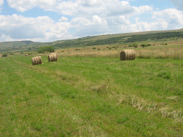 agricultura in Romania 003 - Natura cu frumusetile ei
