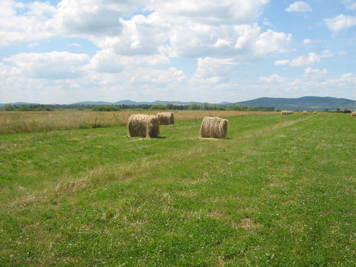 agricultura in Romania 004 - Natura cu frumusetile ei