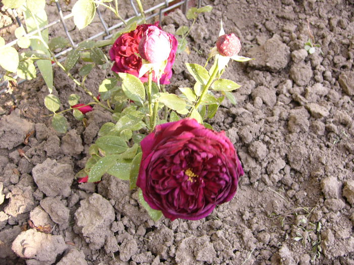P1220688