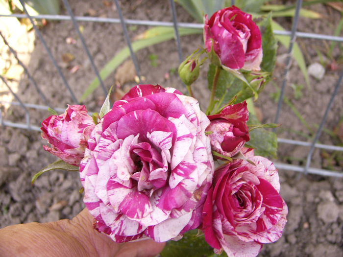 P1220690