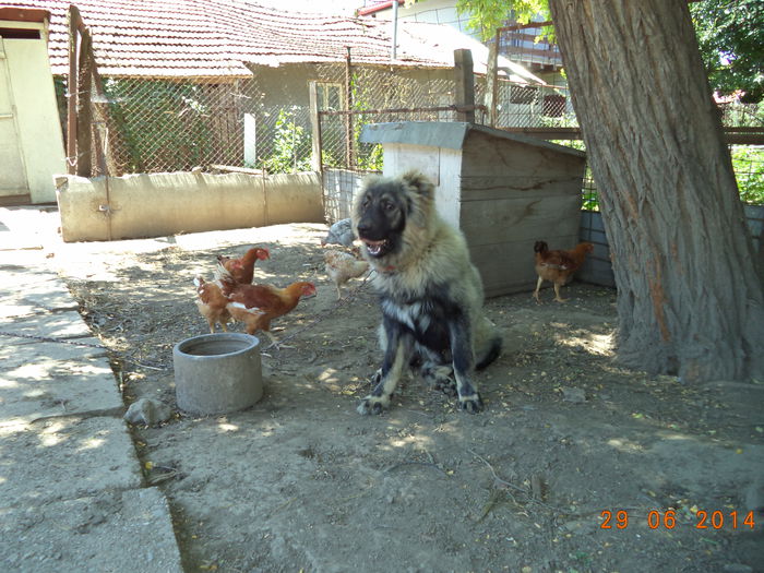 7 LUNI FARA 6 ZILE
