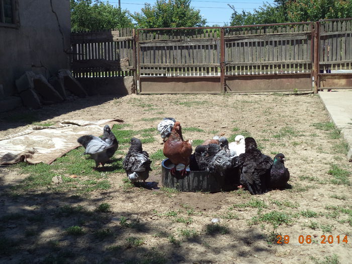 DSC01655 - MATCA KINGI 2015