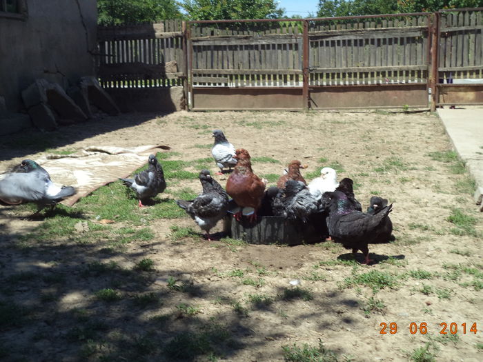 DSC01656 - MATCA KINGI 2015