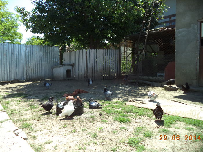 DSC01657 - MATCA KINGI 2015