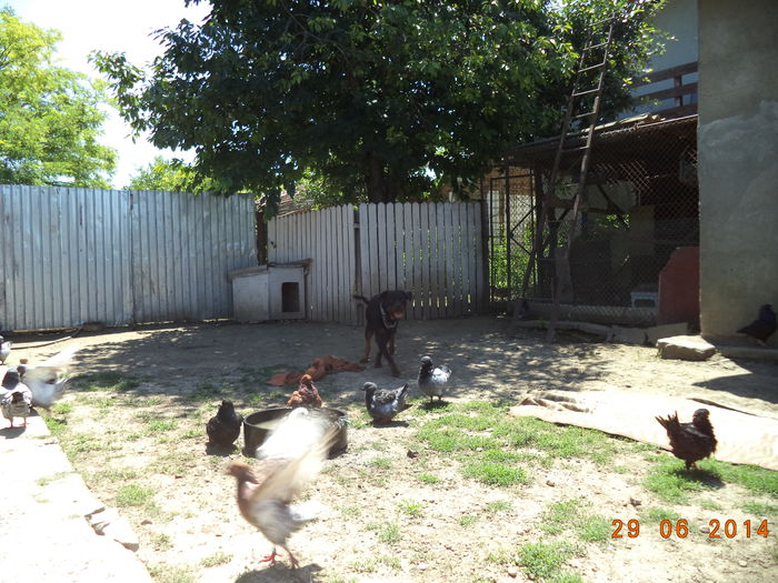 DSC01658 - MATCA KINGI 2015