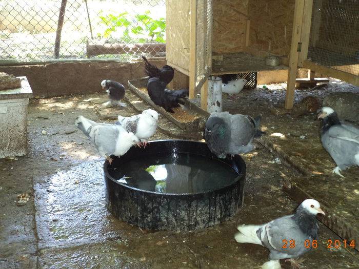 DSC01670 - MATCA KINGI 2015