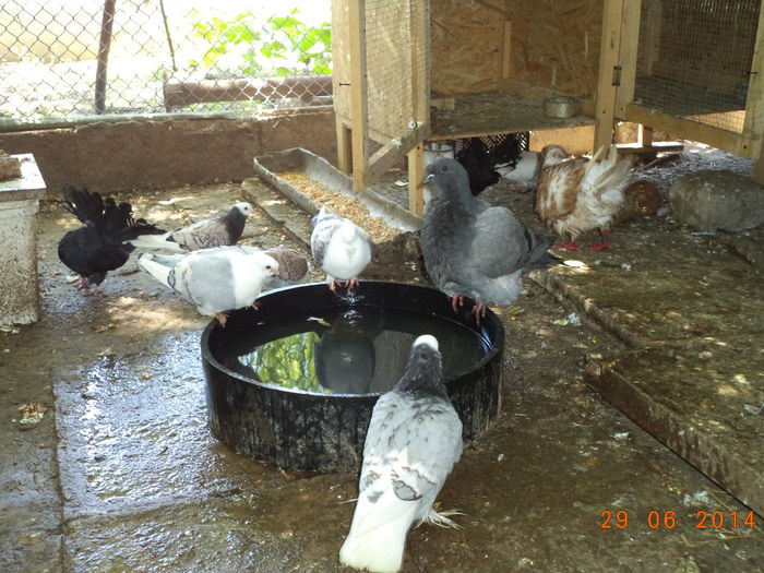 DSC01671 - MATCA KINGI 2015